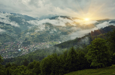 Fototapeta premium landscape in the Alps with fresh green meadows and blooming flowers and snow-capped mountain tops in the background