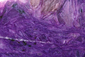 macro mineral stone Charoite on a white background