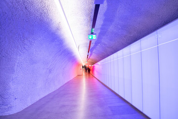 Purple Tunnel