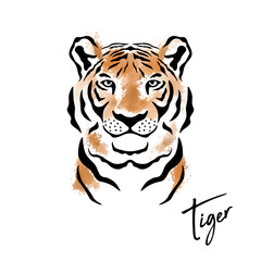 Chinese New Year 2022 Concept. Vector Hand Drawn Tiger Face. Noble Tiger Head Isolated in Flat or Cartoon Style for Print, Logo Design. Happy New Year and Symbol of the Year of Tiger