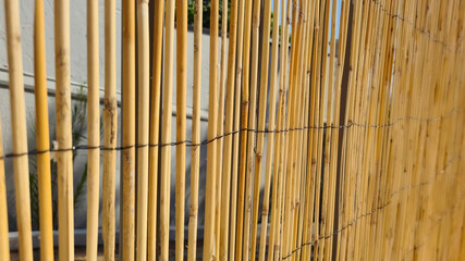 tela de bamboo