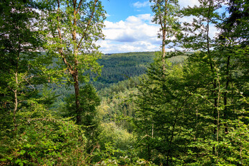 Scenic view over green forest Odenwald with blue sky in summer in Kirchzell, Germany.