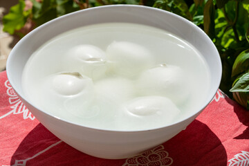 Cheese collection, white balls of Italian soft cheese mozzarella di bufala campana floating is water