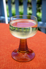 White quality riesling wine served in yellow swirl wine glass on outdoor terrace in Mosel wine region, Germany
