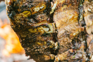 Costillar de ternera a la llama