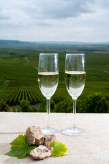 Glasses of brut champagne wine, firestones from vineyards soil and view on grand cru vineyards of Montagne de Reims near Verzenay, Champagne, France