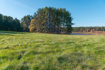 Fototapeta premium colorful summer natural landscape with green meadow in the foreground and dense forest and lake in the background