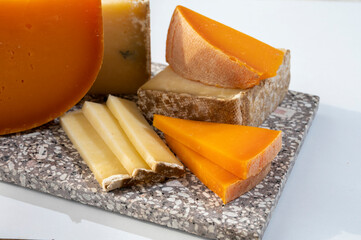 Cheese collection, hard French cheese old cantal and yellow mimolette made from raw cow milk with...