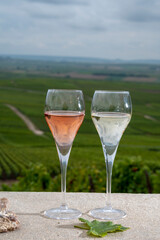 Glasses of white and rose brut champagne wine, firestones from vineyards soil and view on grand cru vineyards of Montagne de Reims near Verzenay, Champagne, France