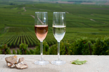 Glasses of white and rose brut champagne wine, firestones from vineyards soil and view on grand cru vineyards of Montagne de Reims near Verzenay, Champagne, France