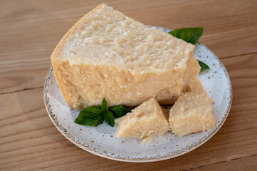 Cheese collection, piece of matured cow cheese pasmesan parmigiano reggiano made from cow milk