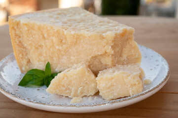 Cheese collection, piece of matured cow cheese pasmesan parmigiano reggiano made from cow milk