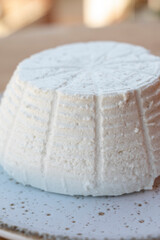 Cheese collection, white Italian soft cheese ricotta