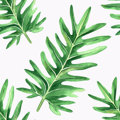 Watercolor seamless pattern on a white background. Monochrome pattern of philodendron leaves. Print for fabric, wallpaper, packaging © Ирина Кабанцева