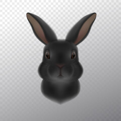 Black Hare symbol of 2023 year