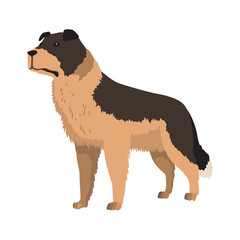Dog breed. Cartoon domestic pet character flat vector illustration. Human friend home animal