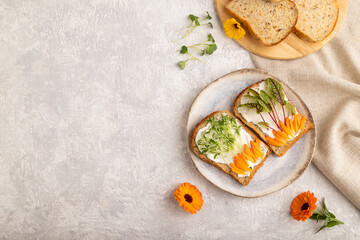 White bread sandwiches with cream cheese, calendula petals and microgreen on gray. top view, copy space.