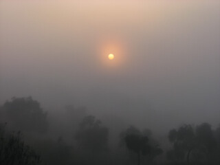 Fototapeta na wymiar A fantastic foggy day.