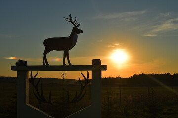 Deer statue silhouete at beautiful sunset view.