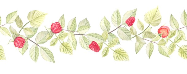 Seamless border.Gerland of roses and raspberries. Isolated on a white background. Watercolor illustration.