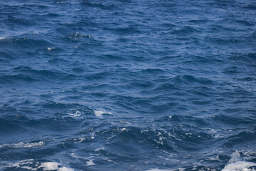 Fototapeta premium blue water wavy sea surface