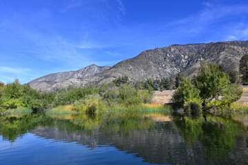 Fototapeta na wymiar Red-Wing Pond at the Wildlands Conservancy Oak Glen Preserve in the foothills of the San Bernardino Mountains.