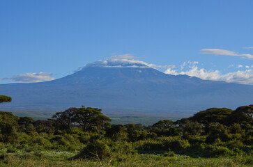 View of the Kilimanjaro in Amboseli NAtional PArk, Kenya, Africa