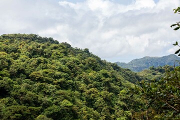 Misty landscape in Monteverde, CostaRica