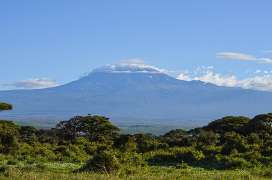 View of the Kilimanjaro in Amboseli NAtional PArk, Kenya, Africa