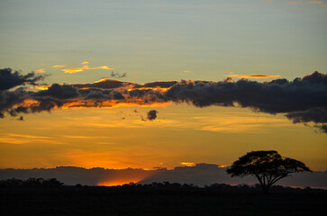 Obraz na płótnie Canvas Sunset in the savannah, Amboseli, Kenya, Africa
