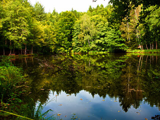 Waldsee Erlenbach bei Dahn
