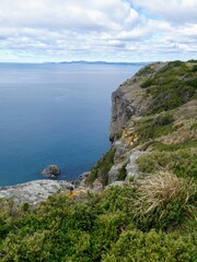 Wild coastal overlook with view of the ocean