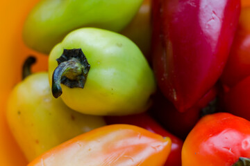 lots of colorful peppers. red, green and yellow peppers. vegetables. Agriculture.