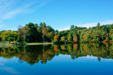 Fototapeta na wymiar Scenic lake and reflection in Choate Park MA USA