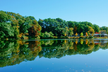 Fototapeta premium Scenic lake and reflection in Choate Park MA USA
