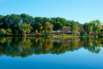 Fototapeta na wymiar Scenic lake and reflection in Choate Park MA USA