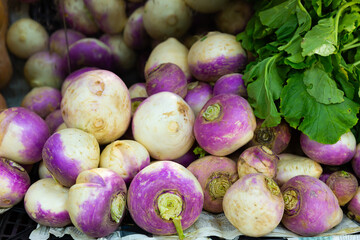 Fresh turnip roots displayed for sale at farmers market