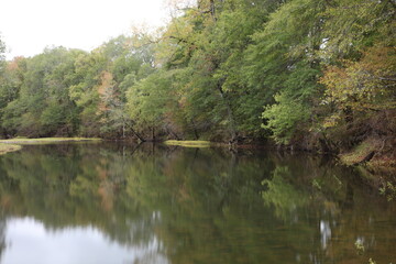 Fototapeta na wymiar Creek Reflection 3