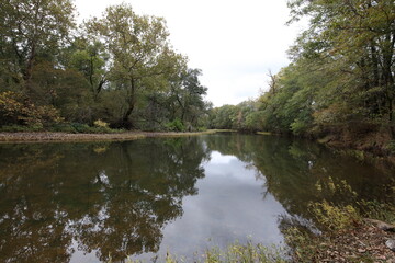 Fototapeta na wymiar Creek Reflection 1