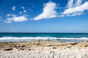 Fototapeta na wymiar beach scene in hawaii on a beautiful day