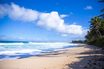 beach scene in hawaii on a beautiful day