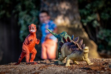 Boy at his dinosaurs