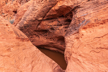 Overton, Nevada, USA - February 24, 2010: Valley of Fire. Closeup of water trapped in small pool...