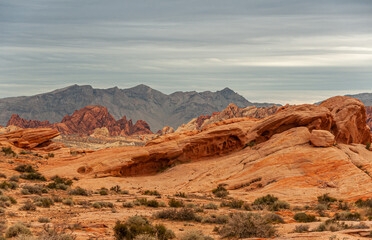 Overton, Nevada, USA - February 24, 2010: Valley of Fire. Wide landscape of red rock outcrops under...