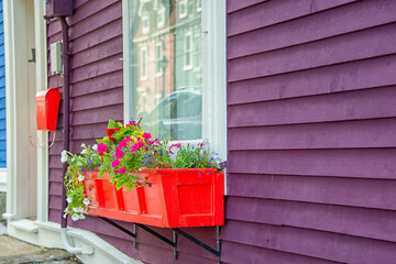 A flower box of white, purple, and yellow blooming flowers.  The wooden flower box hangs under an antique glass window with white trim on the exterior of a purple wooden clapboard siding house. 