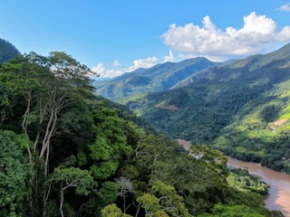 Rainforest showing tropical tree tops and river flowing through beautiful landscape of a pristine ecosystem 