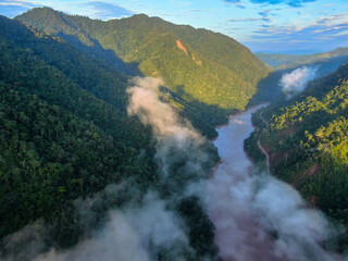 drone panorama of amazon rainforest and river
