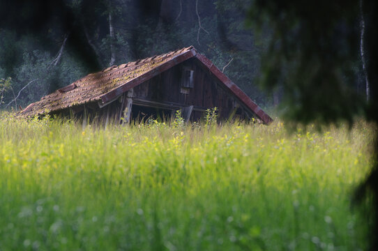 Eingefallene Hütte im Moor
