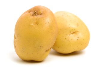 New potato isolated on white background 