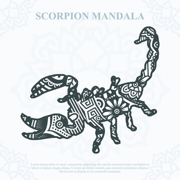 Scorpion Mandala Vector. Boho Style SVG. Eps 10